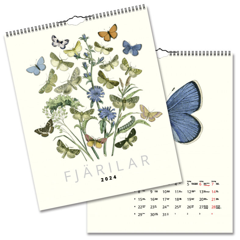 Väggkalender Fjärilar 2024 328x405mm