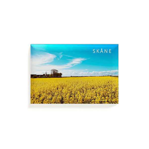 Magnet Skåne rapsfält 53x78mm