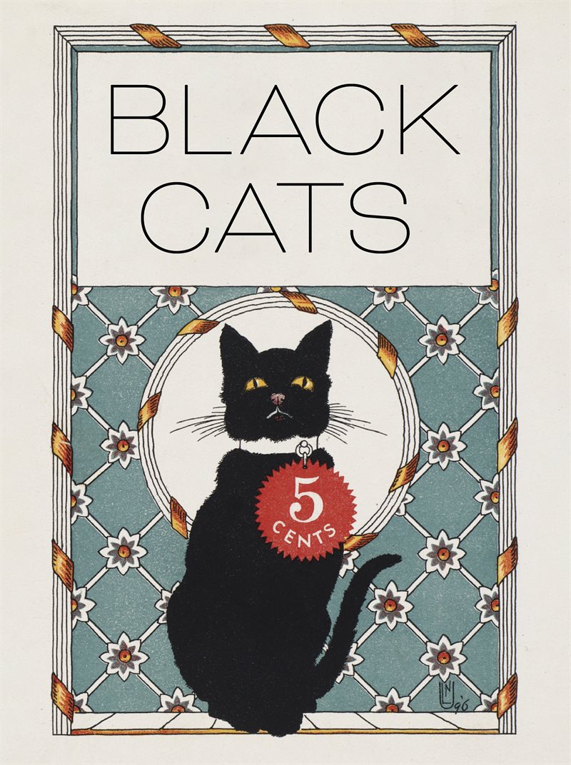 Black Cats Boxed Notecard Assortment