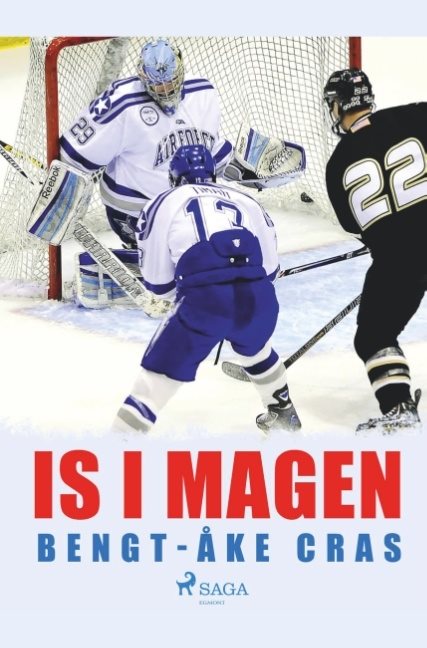 Is i magen