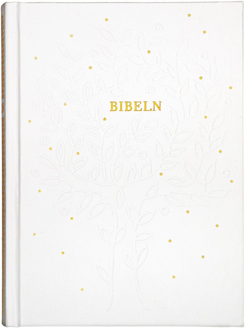 Bibel 2026 naturvit