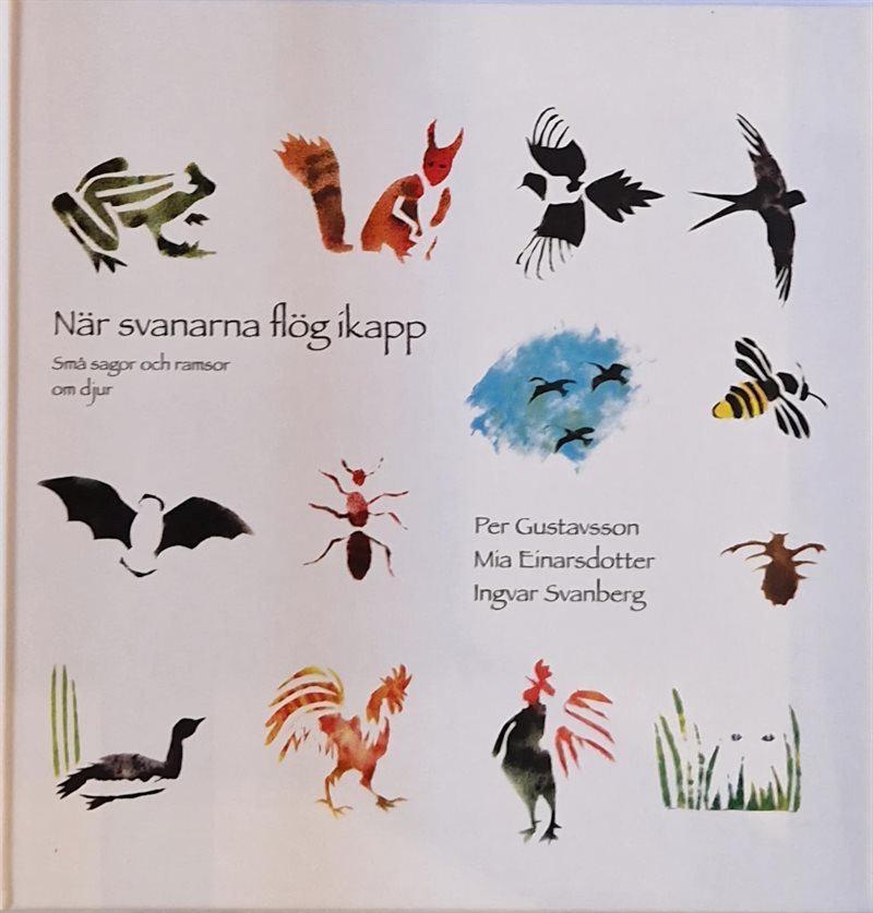 När svanarna flög ikapp