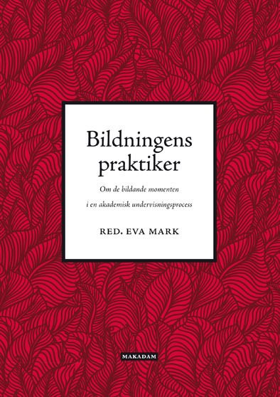 Bildningens praktiker : om de bildande momenten i en akademisk undervisningsprocess