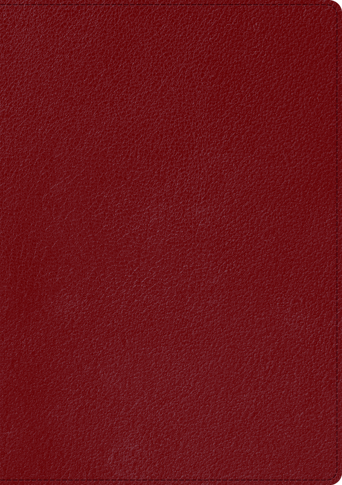 Skrivbok A5 PU linjerad röd