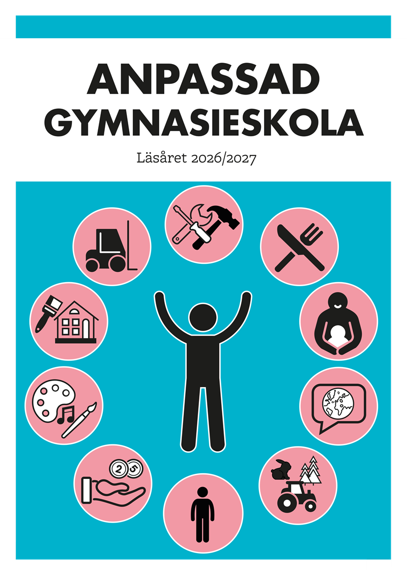 Anpassad gymnasieskola Läsåret 2026/2027