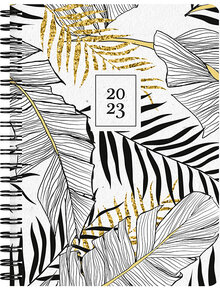 A6 Jungle 12 mån FSC