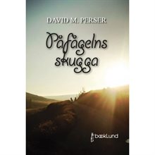 Påfågelns skugga: en iransk verklighet